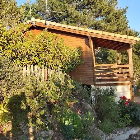 Chalet De Cemma Évisa